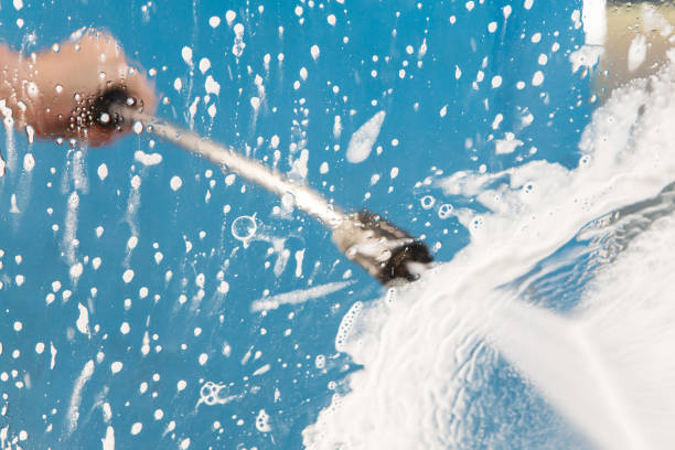 Best Animal Enclosure Cleaning  in Knox, IN