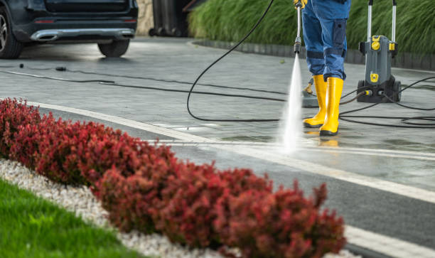 Best Dumpster Area Cleaning  in Knox, IN